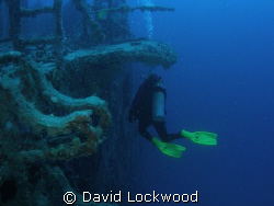 Surveying the expanse of Spiegel Grove, Key Largo, Florida by David Lockwood 
